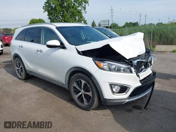 2017 Kia Sorento EX z VIN 5XYPHDA57HG298965, wystawiony jako IAAI lot #42851723 z przebiegiem 171 678 mil mil oraz . Historia ofert i sprzedaży dostępna na DreamBid. Obrazek 1.