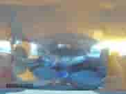 2021 Hyundai Accent SE с VIN 3KPC24A64ME150272, выставлен на аукционе Copart как лот 80135125 с пробегом 169 121 миль миль и Списание • Salvage title. История ставок и продаж доступна на DreamBid. Изображение 15.