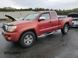 2005 Toyota Tacoma with VIN 5TEUU42N15Z033313, listed as a Copart auction lot 86146965 with 255,199 mi miles and Clean title. Bid and sale history available at DreamBid. Image 1.