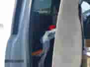 2005 Chevrolet Silverado 1500 Work Truck z VIN 1GCEC14X95Z281499, wystawiony jako IAAI lot #43270488 z przebiegiem 147 465 mil mil oraz . Historia ofert i sprzedaży dostępna na DreamBid. Obrazek 8.