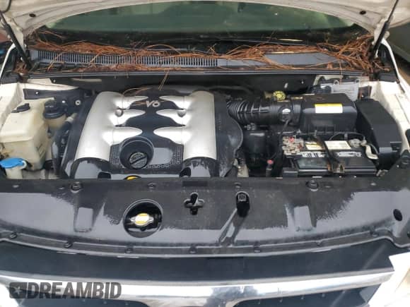 2007 Hyundai Entourage GLS with VIN KNDMC233776034423, listed as a Copart auction lot 61694055 with Not provided miles and Clean title. Bid and sale history available at DreamBid. Image 12.