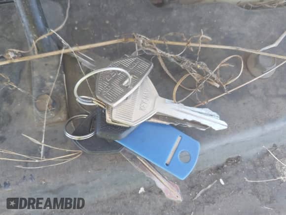 1998 Dodge Passenger с VIN 2B5WB25Y7WK117458, выставлен на аукционе IAAI как лот 42661868 с пробегом Не указан миль и . История ставок и продаж доступна на DreamBid. Изображение 11.