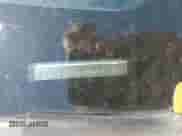 2017 Subaru WRX Limited with VIN JF1VA1J6XH9833720, listed as a Copart auction lot 81419485 with 137,890 mi miles and Salvage title. Bid and sale history available at DreamBid. Image 12.