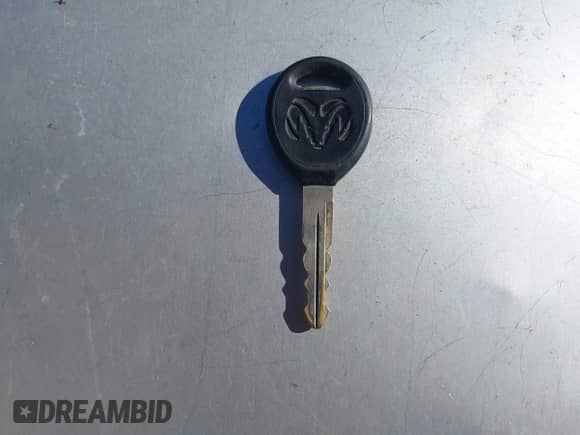 2002 Dodge 1500 z VIN 1D7HA18N82S635356, wystawiony jako IAAI lot #43531204 z przebiegiem Nie podano mil oraz . Historia ofert i sprzedaży dostępna na DreamBid. Obrazek 11.