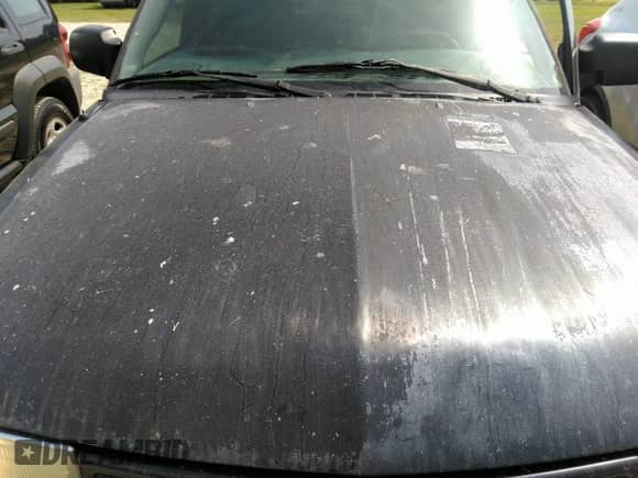 2003 Chevrolet Blazer LS с VIN 1GNCS13XX3K108308, выставлен на аукционе IAAI как лот 42286854 с пробегом 182 833 миль миль и . История ставок и продаж доступна на DreamBid. Изображение 14.