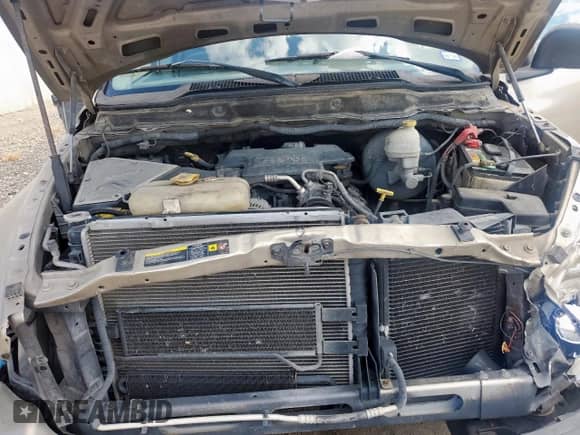 2004 Dodge 1500 SLT z VIN 1D7HA18D94J247844, wystawiony jako Copart lot #84250065 z przebiegiem 256 176 mil mil oraz Szkoda całkowita • Salvage title. Historia ofert i sprzedaży dostępna na DreamBid. Obrazek 11.