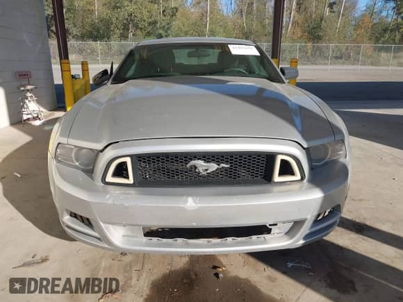 2014 Ford Mustang Premium с VIN 1ZVBP8AM7E5258141, выставлен на аукционе IAAI как лот 43455151 с пробегом 183 989 миль миль и . История ставок и продаж доступна на DreamBid. Изображение 13.