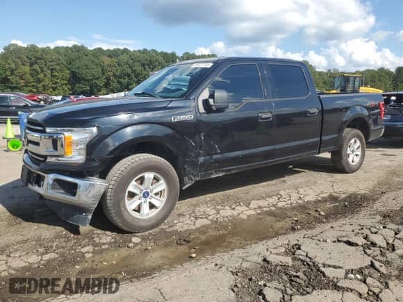 2019 Ford F-150 XL with VIN 1FTFW1E50KKC99807, listed as a Copart auction lot 84427745 with 201,533 mi miles and Clean title. Bid and sale history available at DreamBid. Image 1.