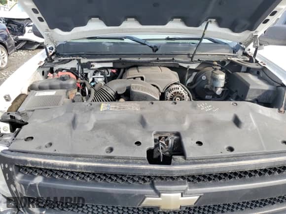 2009 Chevrolet Silverado 1500 Work Truck with VIN 1GCEC14C49Z159779, listed as a Copart auction lot 63124245 with 176,305 mi miles and Clean title. Bid and sale history available at DreamBid. Image 11.