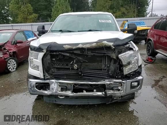 2017 Ford F-150 XLT with VIN 1FTFW1EF5HFB26519, listed as a Copart auction lot 82753675 with 134,315 mi miles and Salvage title. Bid and sale history available at DreamBid. Image 14.