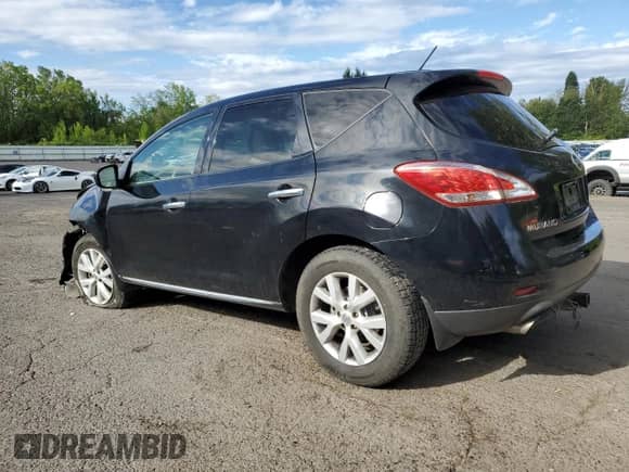 2011 Nissan Murano S with VIN JN8AZ1MW9BW173423, listed as a Copart auction lot 69086785 with 193,860 mi miles and Salvage title. Bid and sale history available at DreamBid. Image 2.