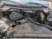 1998 Dodge 1500 z VIN 1B7HF16Y1WS771214, wystawiony jako Copart lot #83446254 z przebiegiem 240 257 mil mil oraz Nie do naprawy • Non repairable. Historia ofert i sprzedaży dostępna na DreamBid. Obrazek 11.