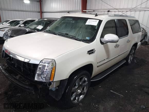 2009 Cadillac Escalade ESV with VIN 1GYFK26209R117282, listed as a IAAI auction lot 41224943 with 222,927 mi miles and . Bid and sale history available at DreamBid. Image 17.
