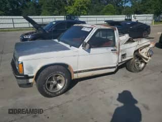 1991 Chevrolet S-10 z VIN 1GCCS14Z4M0159129, wystawiony jako Copart lot #66477375 z przebiegiem 169 378 mil mil oraz Szkoda całkowita • Salvage title. Historia ofert i sprzedaży dostępna na DreamBid. Obrazek 1.