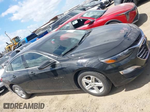 2023 Chevrolet Malibu LS с VIN 1G1ZB5ST6PF238344, выставлен на аукционе IAAI как лот 42791266 с пробегом 45 790 миль миль и . История ставок и продаж доступна на DreamBid. Изображение 13.