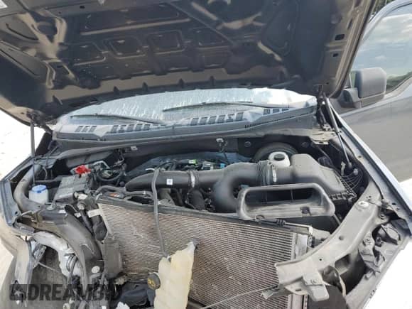 2020 Ford F-150 XL with VIN 1FTEW1CPXLFB50900, listed as a Copart auction lot 81082265 with Not provided miles and Non repairable. Bid and sale history available at DreamBid. Image 11.