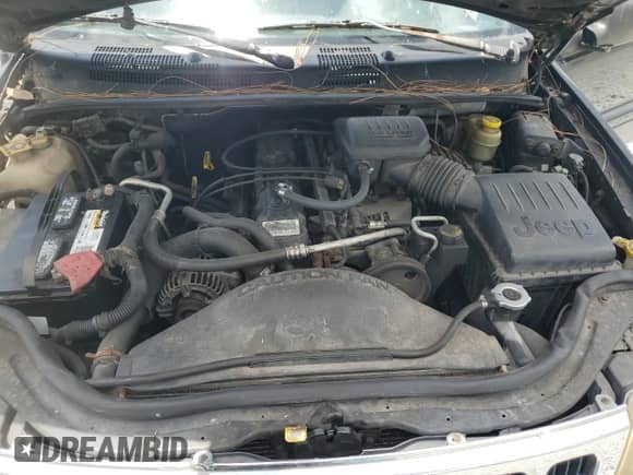 1999 Jeep Grand Cherokee Laredo с VIN 1J4G258S4XC577449, выставлен на аукционе Copart как лот 66556115 с пробегом 220 256 миль миль и Чистый • Clean title. История ставок и продаж доступна на DreamBid. Изображение 12.