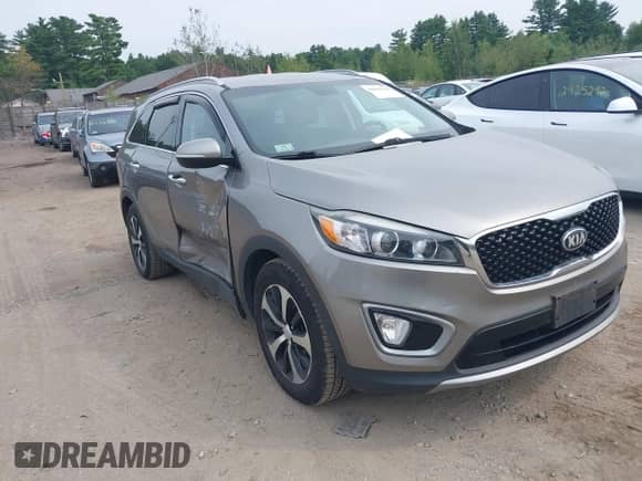 2017 Kia Sorento EX z VIN 5XYPHDA54HG205187, wystawiony jako IAAI lot #42894138 z przebiegiem 156 806 mil mil oraz . Historia ofert i sprzedaży dostępna na DreamBid. Obrazek 13.