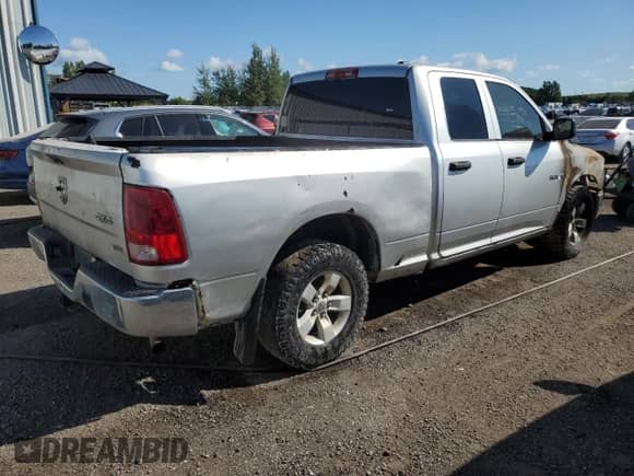 2010 Dodge 1500 SLT with VIN 1D7RV1GP8AS174671, listed as a Copart auction lot 64781475 with Not provided miles and Non repairable. Bid and sale history available at DreamBid. Image 3.