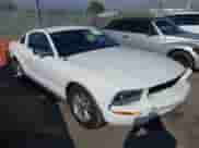 2006 Ford Mustang Standard with VIN 1ZVFT80NX65154834, listed as a IAAI auction lot 43204488 with 205,315 mi miles and . Bid and sale history available at DreamBid. Image 1.