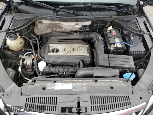 2010 Volkswagen Tiguan S с VIN WVGCV7AX3AW001513, выставлен на аукционе Copart как лот 83395474 с пробегом 147 203 миль миль и Чистый • Clean title. История ставок и продаж доступна на DreamBid. Изображение 12.