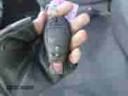 2018 Ram 1500 Big Horn z VIN 1C6RR7GT1JS106752, wystawiony jako IAAI lot #41163663 z przebiegiem 91 297 mil mil oraz . Historia ofert i sprzedaży dostępna na DreamBid. Obrazek 11.