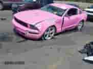 2005 Ford Mustang Deluxe z VIN 1ZVFT80N155184125, wystawiony jako IAAI lot #42852713 z przebiegiem Nie podano mil oraz . Historia ofert i sprzedaży dostępna na DreamBid. Obrazek 2.