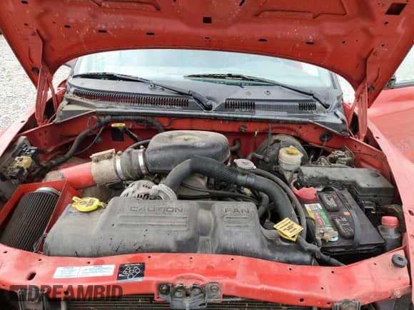 2000 Dodge Dakota with VIN 1B7FL26N9YS628414, listed as a Copart auction lot 83569664 with 178,733 mi miles and Salvage title. Bid and sale history available at DreamBid. Image 11.