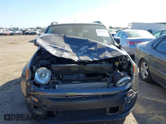 2017 Jeep Renegade Latitude z VIN ZACCJABB5HPF45504, wystawiony jako IAAI lot #42486270 z przebiegiem 67 610 mil mil oraz . Historia ofert i sprzedaży dostępna na DreamBid. Obrazek 6.
