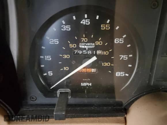 1981 Chevrolet Corvette z VIN 1G1AY8763BS411382, wystawiony jako Copart lot #46404285 z przebiegiem 79 581 mil mil oraz Czysty tytuł • Clean title. Historia ofert i sprzedaży dostępna na DreamBid. Obrazek 9.