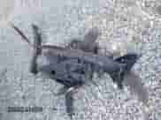 2020 Hyundai Elantra SEL z VIN KMHD84LF0LU954001, wystawiony jako IAAI lot #41991226 z przebiegiem 76 543 mil mil oraz . Historia ofert i sprzedaży dostępna na DreamBid. Obrazek 12.