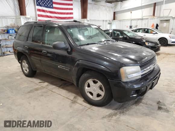 2002 Chevrolet TrailBlazer LS with VIN 1GNDT13S222266789, listed as a Copart auction lot 58767475 with 207,172 mi miles and Non repairable. Bid and sale history available at DreamBid. Image 4.
