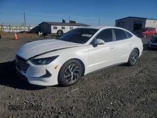 2020 Hyundai Sonata Blue с VIN KMHL24JJ6LA009530, выставлен на аукционе Copart как лот 87443545 с пробегом 75 130 миль миль и Чистый • Clean title. История ставок и продаж доступна на DreamBid. Изображение 1.