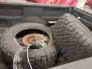 2012 Ford F-150 XL with VIN 1FTFW1ETXCFB77108, listed as a IAAI auction lot 42592030 with 164,464 mi miles and . Bid and sale history available at DreamBid. Image 12.