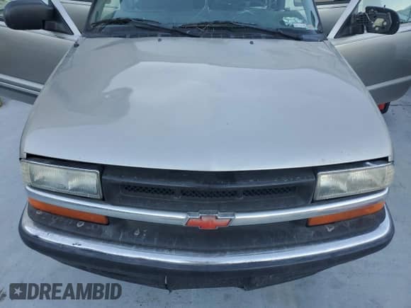 2000 Chevrolet Blazer LS z VIN 1GNCS13W8Y2271750, wystawiony jako Copart lot #41564865 z przebiegiem Nie podano mil oraz Szkoda całkowita • Salvage title. Historia ofert i sprzedaży dostępna na DreamBid. Obrazek 12.