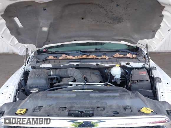 2011 Ram 1500 SLT with VIN 1D7RV1GT2BS660441, listed as a IAAI auction lot 42227136 with 162,197 mi miles and . Bid and sale history available at DreamBid. Image 10.