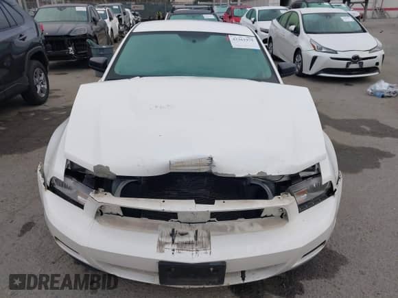 2010 Ford Mustang V6 с VIN 1ZVBP8AN5A5146148, выставлен на аукционе IAAI как лот 43361975 с пробегом 91 063 миль миль и . История ставок и продаж доступна на DreamBid. Изображение 13.