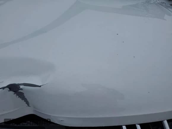 2024 Volkswagen Tiguan S с VIN 3VVRB7AX8RM186162, выставлен на аукционе Copart как лот 64621085 с пробегом 5 957 миль миль и Списание • Salvage title. История ставок и продаж доступна на DreamBid. Изображение 12.