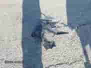 2020 Nissan Pathfinder SL z VIN 5N1DR2CN5LC588485, wystawiony jako IAAI lot #43206094 z przebiegiem 70 816 mil mil oraz . Historia ofert i sprzedaży dostępna na DreamBid. Obrazek 12.