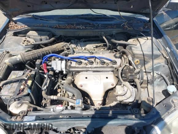 2001 Honda Accord VP с VIN 1HGCF86681A128585, выставлен на аукционе IAAI как лот 42866826 с пробегом 232 143 миль миль и . История ставок и продаж доступна на DreamBid. Изображение 10.