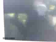 2023 Hyundai Ioniq 5 SEL с VIN KM8KN4AE9PU172828, выставлен на аукционе IAAI как лот 43366179 с пробегом 17 736 миль миль и . История ставок и продаж доступна на DreamBid. Изображение 17.