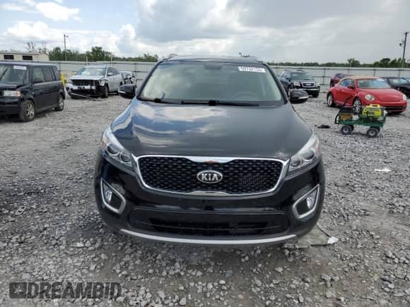 2017 Kia Sorento EX with VIN 5XYPH4A16HG318894, listed as a Copart auction lot 59702155 with 107,481 mi miles and Salvage title. Bid and sale history available at DreamBid. Image 5.