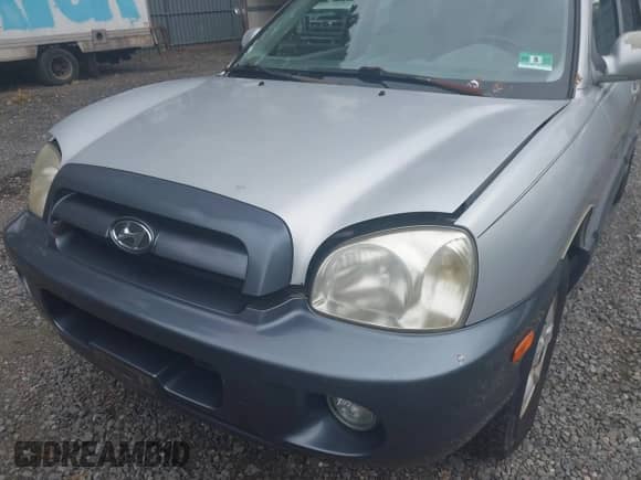 2005 Hyundai Santa Fe GLS with VIN KM8SC13D45U931973, listed as a IAAI auction lot 43274730 with 184,516 mi miles and . Bid and sale history available at DreamBid. Image 6.