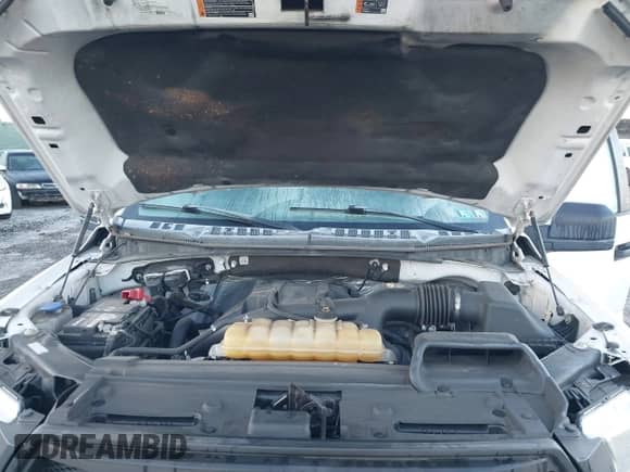 2015 Ford F-150 XL z VIN 1FTEX1CP9FFC25202, wystawiony jako IAAI lot #43532907 z przebiegiem 187 998 mil mil oraz . Historia ofert i sprzedaży dostępna na DreamBid. Obrazek 10.