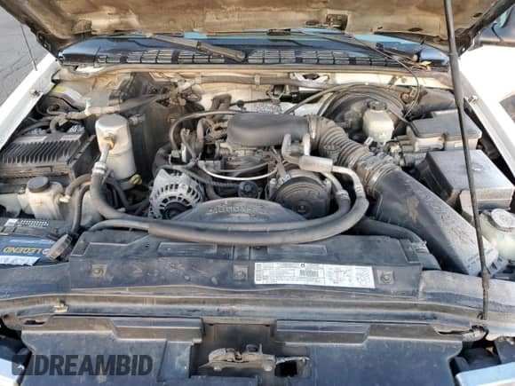 1998 Chevrolet Blazer with VIN 1GNDT13W1WK262046, listed as a Copart auction lot 49063565 with 159,808 mi miles and Salvage title. Bid and sale history available at DreamBid. Image 12.