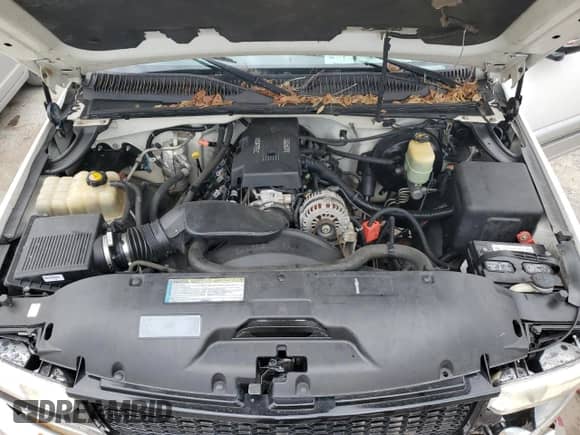 2000 Chevrolet Silverado 1500 LS with VIN 1GCEC14T3YZ339396, listed as a Copart auction lot 81505634 with 270,107 mi miles and Salvage title. Bid and sale history available at DreamBid. Image 11.