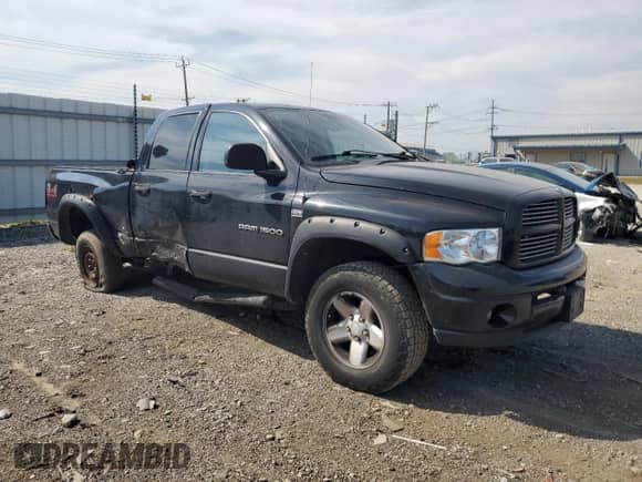 2003 Dodge 1500 ST с VIN 1D7HU18D13S312086, выставлен на аукционе Copart как лот 81332365 с пробегом 208 366 миль миль и Списание • Salvage title. История ставок и продаж доступна на DreamBid. Изображение 4.