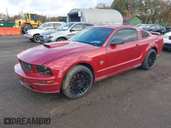 2009 Ford Mustang GT z VIN 1ZVHT82H195142785, wystawiony jako IAAI lot #43497736 z przebiegiem 118 562 mil mil oraz . Historia ofert i sprzedaży dostępna na DreamBid. Obrazek 2.