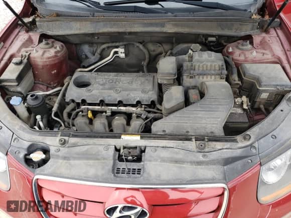 2010 Hyundai Santa Fe Limited with VIN 5NMSK3AB0AH385288, listed as a Copart auction lot 51912685 with 165,994 mi miles and Salvage title. Bid and sale history available at DreamBid. Image 12.