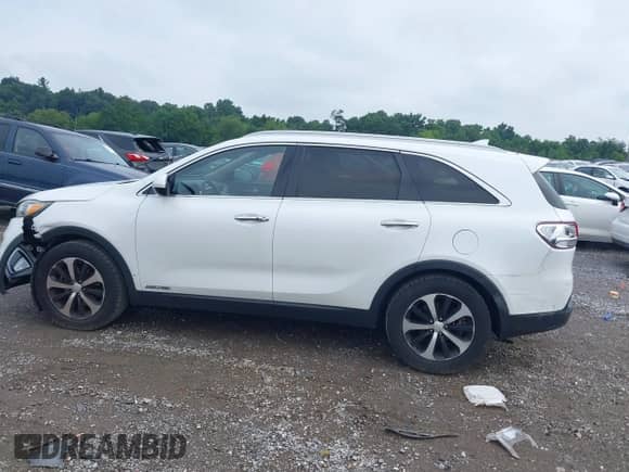 2017 Kia Sorento EX with VIN 5XYPHDA56HG245934, listed as a IAAI auction lot 42692837 with 147,833 mi miles and . Bid and sale history available at DreamBid. Image 14.